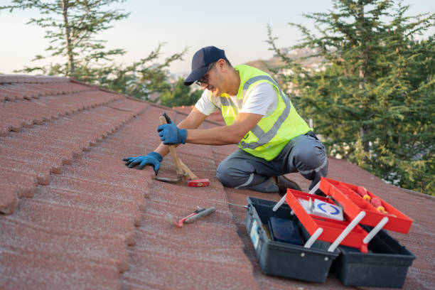 Best Metal Roofing Contractor  in Blacksburg, VA